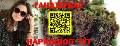 крисы Нальчик