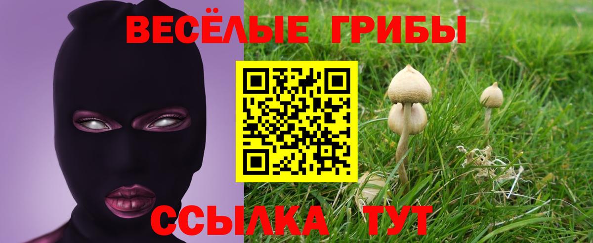 Галлюциногенные грибы GOLDEN TEACHER Торжок